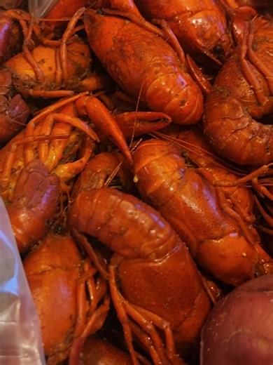 Enjoying Gumbo and Crawfish in the Deep South