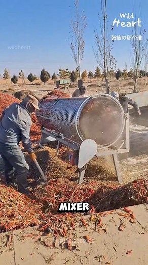This Isn’t a Cement Mixer #ChiliPepper #Farminglife #RuralMechanics #Agriculture #FoodProcessing | Wild Heart