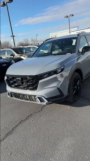 Which Hybrid Should You Buy?