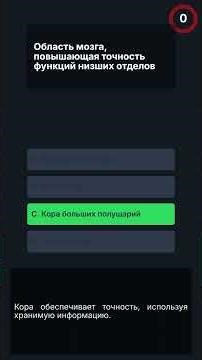 Нейробиология: Исследование Мозга и Нервной Системы