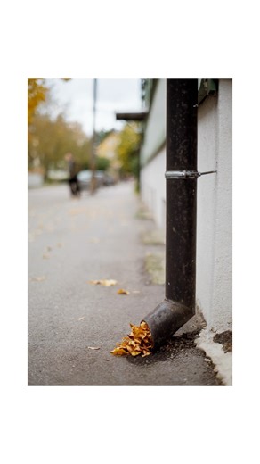 🎞️ Lens Test Part 1 | Minolta AF 50mm f/1.7 on Film | Beautiful Bokeh Results