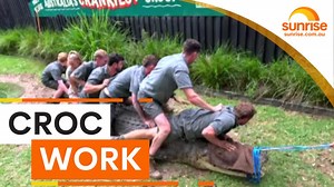 Never smile at a crocodile