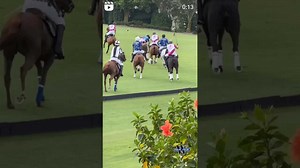 GREAT TEAMWORK️ Wellington Polo Tour Highlights