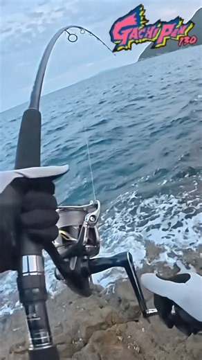 82cmのヒラマサがトップに出た瞬間！