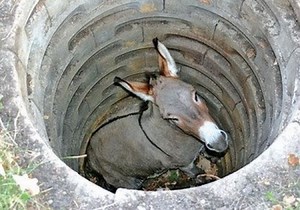 The Donkey In The Well Story - Bedtimeshortstories