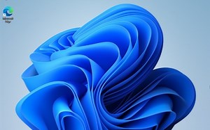 更新Windows11,获得dev更新渠道，解决TPM2.0更新限制问题