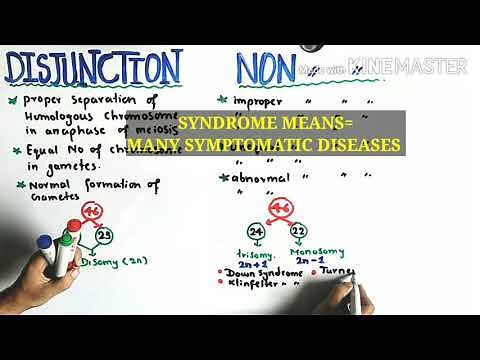 Nondisjunction of Chromosomes - Down, klinefelter's And Turner syndrome | Class 12 Biology