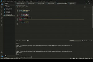 6-Python基础知识-条件控制和循环控制语句