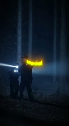 The Real Boogeyman of Staten Island 😱 | Cropsey Legend #creepyshorts #horrorstories #usa