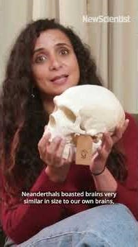 Who were the Neanderthals and what was it like to live alongside them? 💀