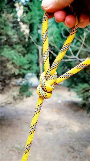 Gravity Lock ⚡️ Tying a High-Visibility Hook Hitch in the Pines