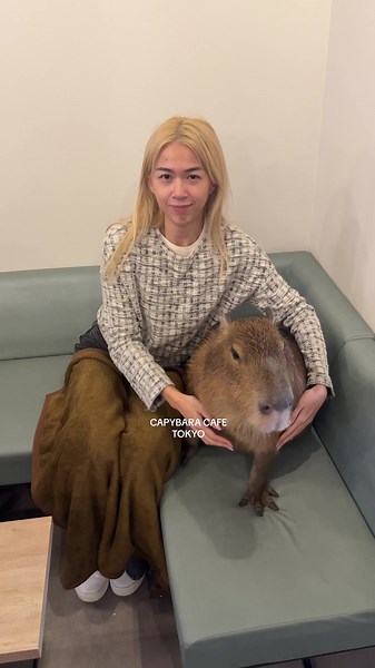 Best Pet Cafe in Tokyo: Cafe Capyba Experience