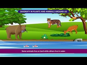 Class 6 | Science Curiosity Chapter-2 | Diversity in the Living World