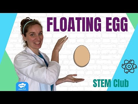 Floating Eggs: Home Education STEM Club