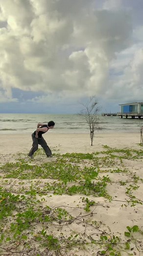 Beach Workout Routine: Lunges and Push-Ups Tutorial