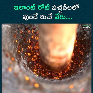 103K views · 1.2K reactions | Start your free test now: https://bit.ly/Testonic ఇలాంటి రోటి పచ్చడిలలో వుండే రుచే వేరు... || Food On Farm Watch Full Video - https://youtu.be/Tn01Jpn7Va0 #tamadamedia #telugumantra #wirally #FoodonFarm | Telugu Mantra | Facebook