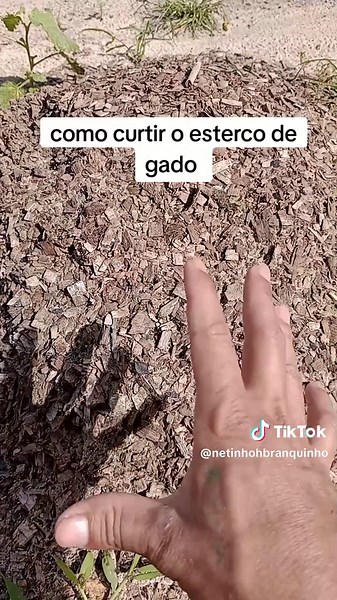 Como Curtir o Esterco de Gado e Galinha de Forma Eficiente