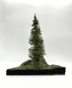 12" Model Pine Tree - Etsy