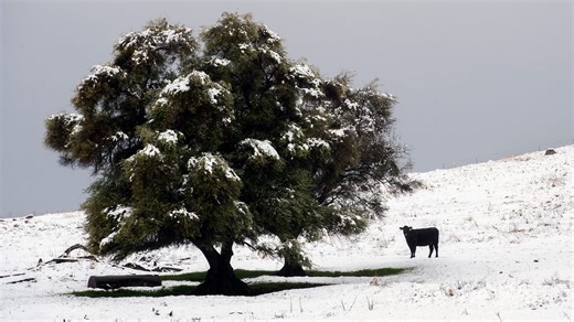 These 7 California towns are ‘bizarrely’ named, says WorldAtlas. We can think of a few more