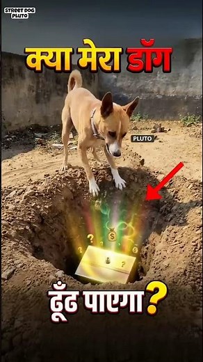 Can My Dog Find Hidden Secret Under Ground