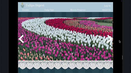 Simulation Video Website