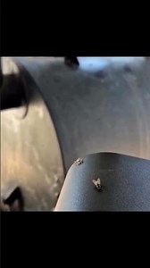 Jumping spider 🕷️ is stalking the fly 🦟 #swipetide #foryou #funnyshorts #spider #funnyanimals