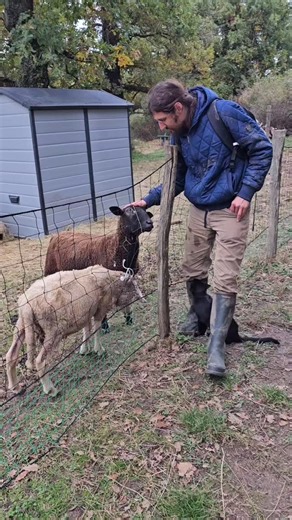Un petit souvenir de la venue de Marjorie et Lucas en octobre dernier. Entre travaux, entretien des espaces de vie et soins aux bébés, cet instant représente la paix, l'amour inconditionnel... et la mise en lumière du comportement de squatteur de Kili 😀 | Sanctuaire Phenixia