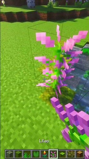 Minecraft Simple Pond