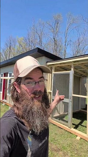 Massive DIY Chicken Coop and Chicken run #chickens #coop #homestead #diy