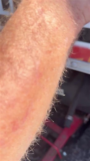 Fuel Pump Replacement Tips for Car Owners