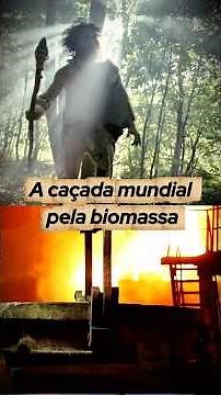 The Global Hunt for Biomass for Industrial Decarbonization