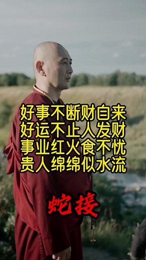 Exploring Traditional Culture and Wealth through Zodiac Snakes