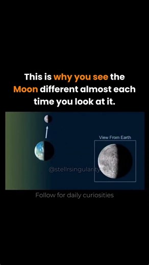 How You See The Moon