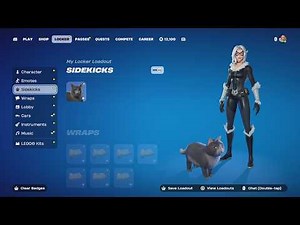 The First EVER Cat Sidekick In Fortnite (THE BEST CAT Gameplay & Review)