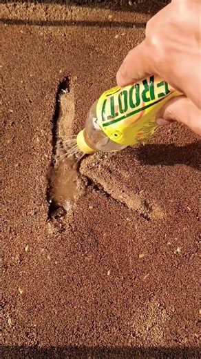 Raat Mein Fasal Double! 😱 | AgriMagic Pro Secret Farming Hack ☘️”