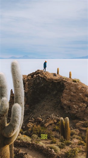 South America Tours on Instagram: "Salar de Uyuni 3 Day Tour 🌵 Three days. Endless white horizons. One of the most surreal landscapes on Earth. Cross the world’s largest salt flat, explore flamingo-filled lagoons, and watch unreal sunsets in the Bolivian desert. Our best-selling 3-day Uyuni experience shows you the very best — with shared or private options, guided by local experts. 👇 Comment “UYUNI” to start crafting your perfect Uyuni adventure — thoughtfully planned, every step of the way. 