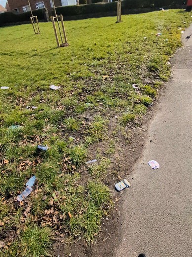 Understanding Litter: Causes and Solutions
