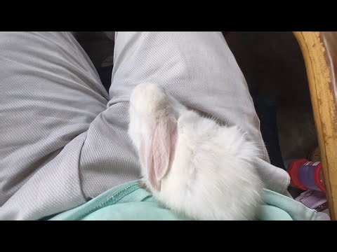 Aj main Kiko Ko Dukan La Aya🥰#blogger #daliymemes #minivlog #vlog #travelblog #viralvideo #trending