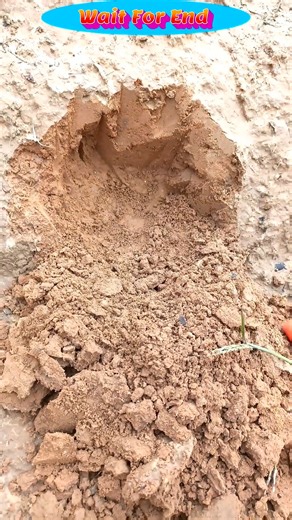 The best pinpointer metal detector #pinpointermetaldetector #metaldetecting #shortsfeed #findgold | Tej Gold Hunting | Facebook