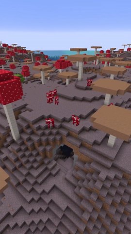 Awesome Minecraft 1.21 Seed for Java Edition