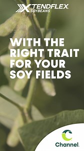 Put the power of options to work against weeds with XtendFlex soybeans and more. Expand your trait options. | Channel Seed | Facebook