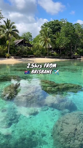 For all my Aussies, add Vanuatu to your bucket list 🇻🇺🔥🌴 - - This resort is @Aore Island Resort - - - - #tiktoktravel #traveltiktok #paradise #tropical #tropicalparadise #beaches #island