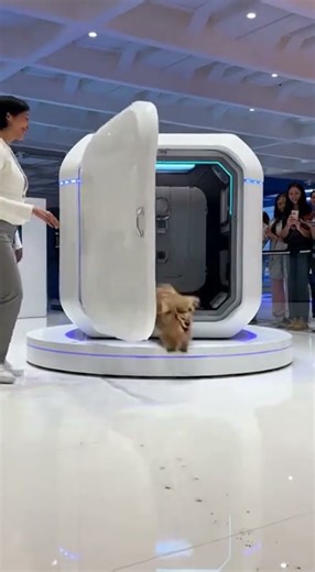 2026 Dubai’s Newest AI Pets Wash Robot Will Shock You AI Instant Curl Machine 5.0.