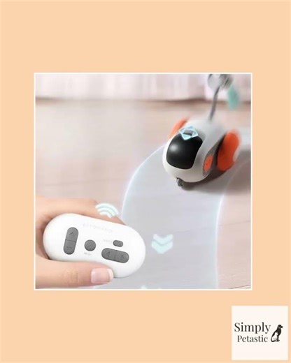Intelligent Interactive Remote Control Mouse Pet Toy