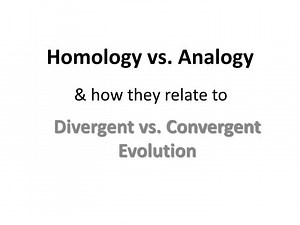 Homology vs. Analogy - SlideServe