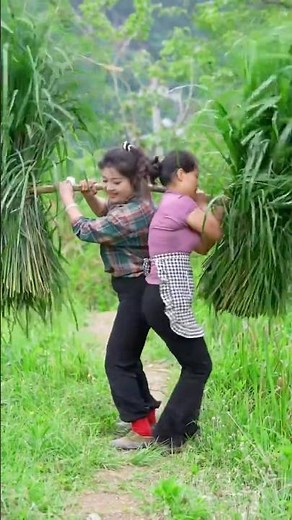 The rural life of beautiful peasant girls #country #prettygirl #pretty #vlog #countrylife #farming