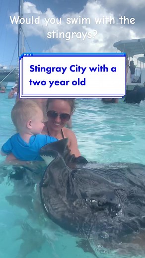 Have you been to Stingray City? It is one of our favortie excursions! #funnelheads #carnival #carnivalcruise #carnivalcruiseline #carnivalcruiseship #carnivalcruises #carnivalfamily #travel #MSC #cruise #cruiseship #royalcaribbeancruise #cruiselife #stingraycity #stingrays #excursions #grandcayman #bahamas #caribbean