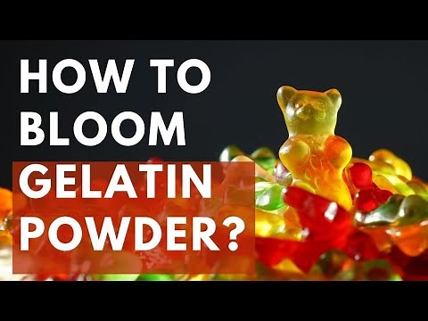 HOW TO USE / BLOOM GELATIN POWDER ? by DINE WITH REETA
