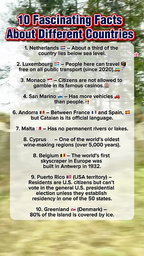 61K views · 190 reactions | Did you know? Approximately one-third of the country's land area, including major cities like Amsterdam and Rotterdam, lies below sea level, protected by an extensive system of dikes, dunes, and pumping stations (polders).朗勞 #DidYouKnow #facts #countries #fblifestyle | Sakura Blossom | Facebook