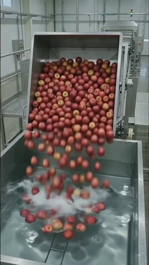 The Journey of Apples Into Refreshing Juice #applejuicerecipe #applejam #apple